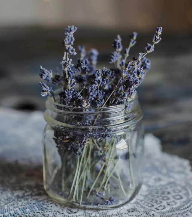 Organic Herbal - pg